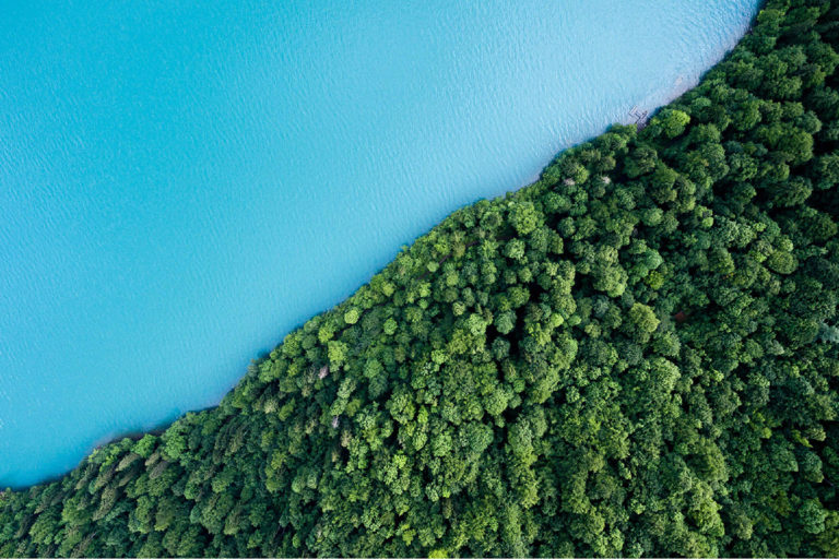 Ecofimática en Valencia