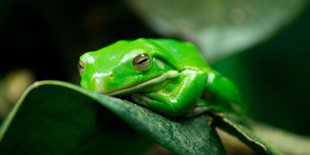 PageWide Pro respetuosa con el medio ambiente