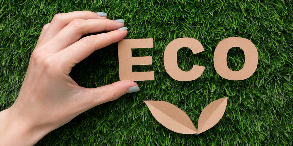 ecofimatica eco
